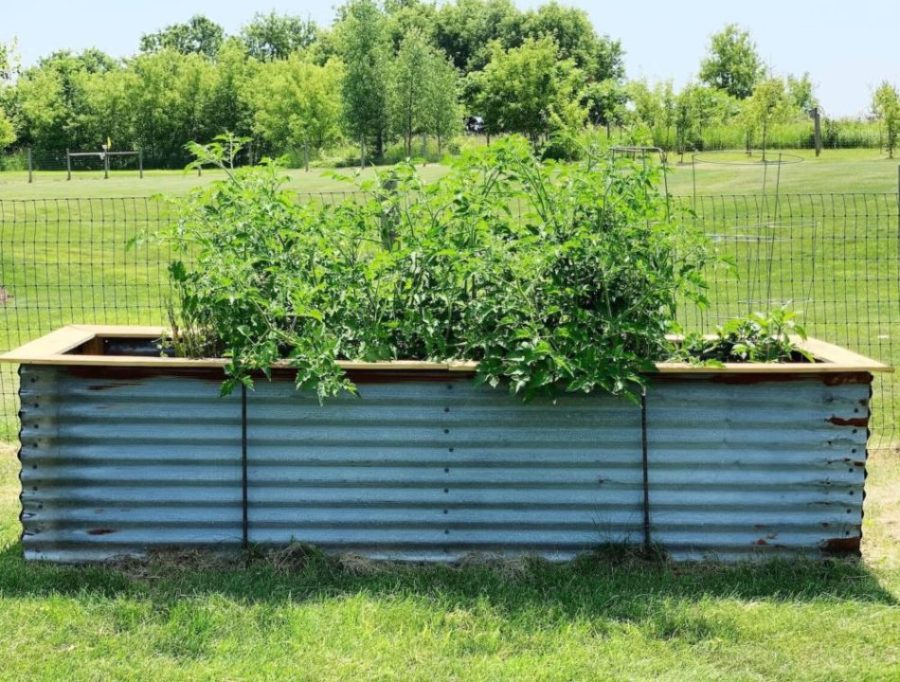 Raised Garden Beds